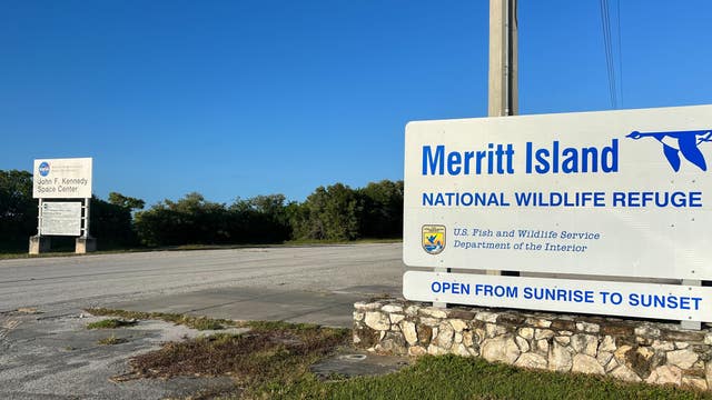 'Slowly being eroded': Environmentalists worry about SpaceX's expansion on wildlife preserve