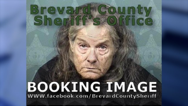 Florida woman, 70, drunkenly runs over, kills husband during search for their dog, police say