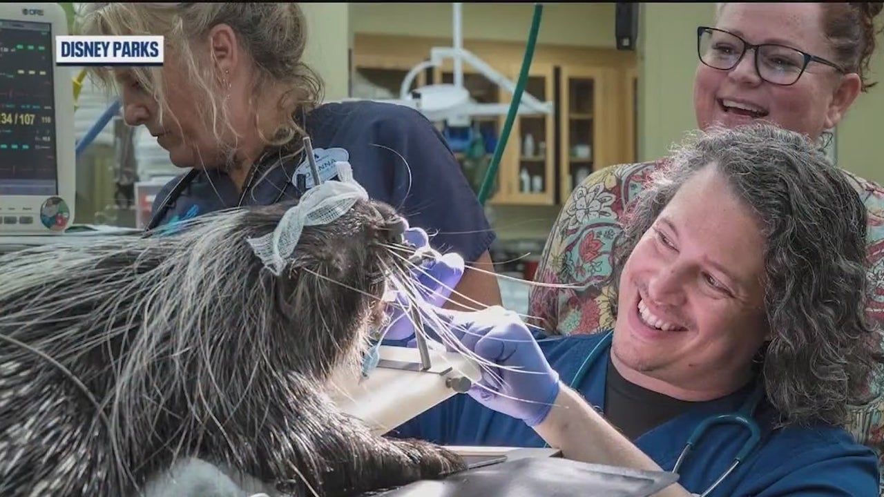 Up close look at how Disney’s vets care for animals, inspire next