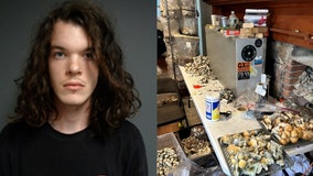 Connecticut man accused of growing $8.5M worth of illegal mushrooms