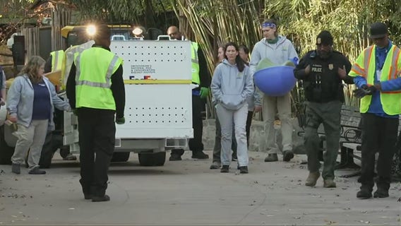 DC's giant pandas depart National Zoo for China