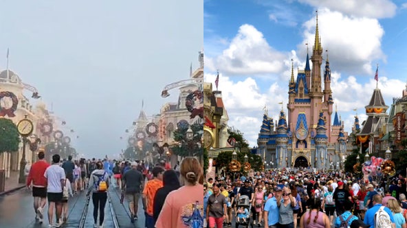 Cinderella Castle vanishes amid foggy Central Florida morning: 'I don't know how Disney pulled off this magic'