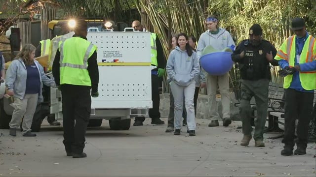 DC's giant pandas depart National Zoo for China