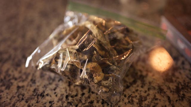 Discovery of $8M worth of psychedelic mushrooms leads to arrest of 21-year-old