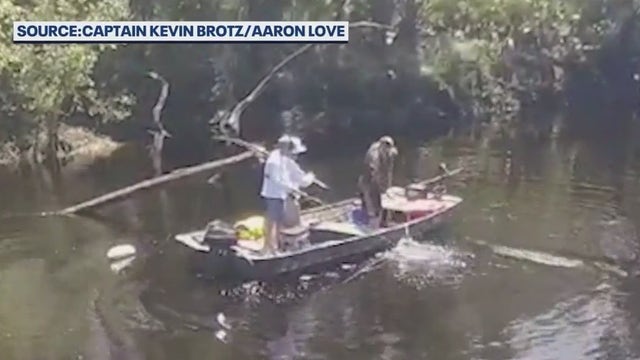 Florida wildlife officials expected to vote on expanding alligator hunting season
