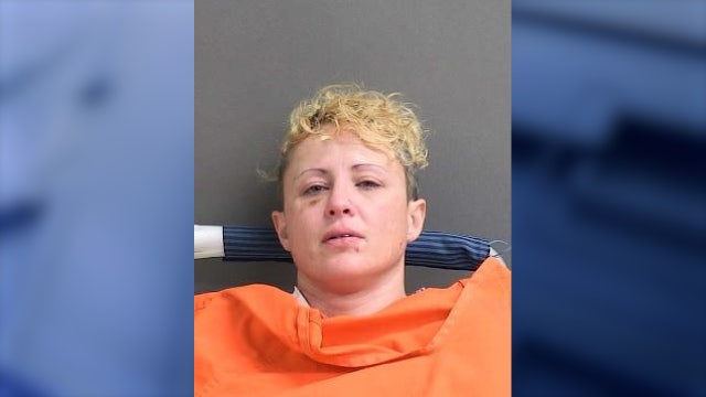 Florida woman shot by trooper she tried to run over arrested following hospital release: FHP