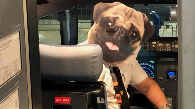 Orlando pilot dressed as dog surprises kids with candy on Halloween flights: 'He was outstanding'