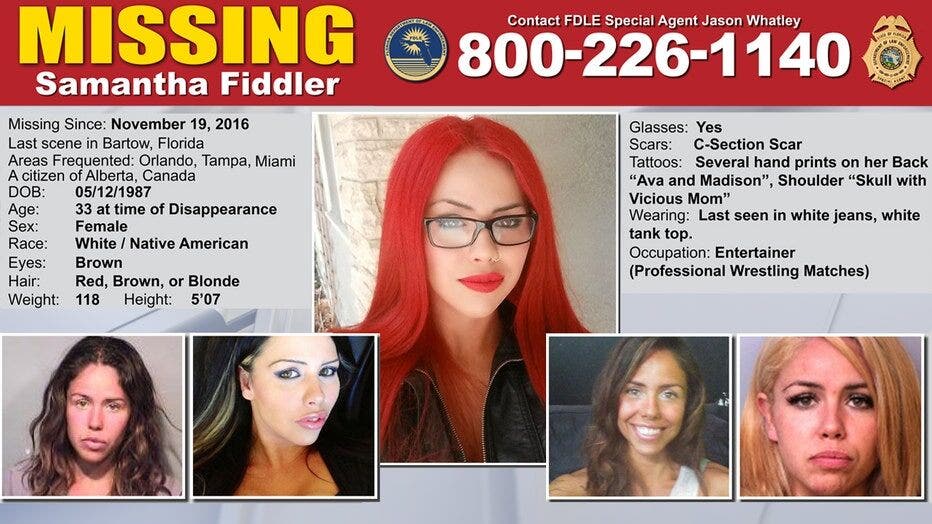 Fiddler-Missing-Poster.jpg