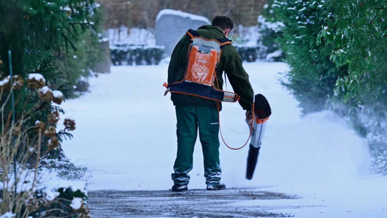 Michigan city bans gas leaf blowers in unanimous vote - Vimarsana News
