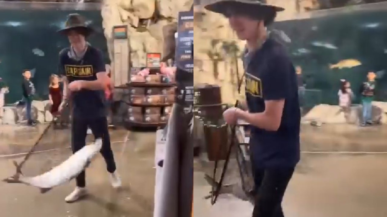Bass Pro Shops fish thief at large after allegedly swiping live