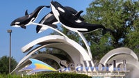 6 guests sent to hospital after ride briefly pauses at SeaWorld Orlando