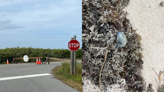'Pretty intense': Rough surf not the only concern as Brevard County beachgoers brace for weekend storm