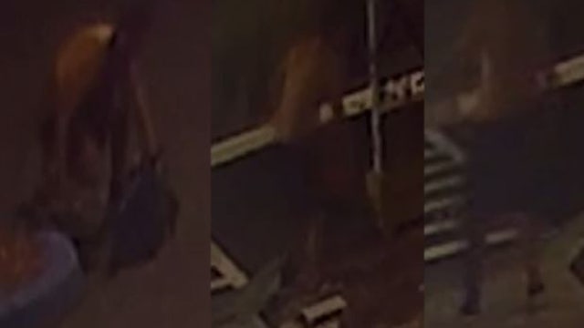 Clermont police searching for suspect accused of vandalizing Hebrew school