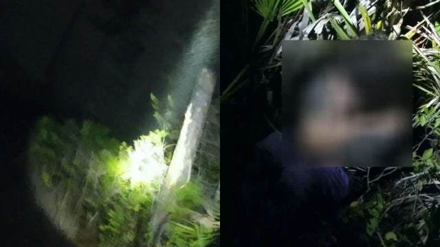 Florida deputies find missing woman, her dog in the woods: 'Disoriented and cold'