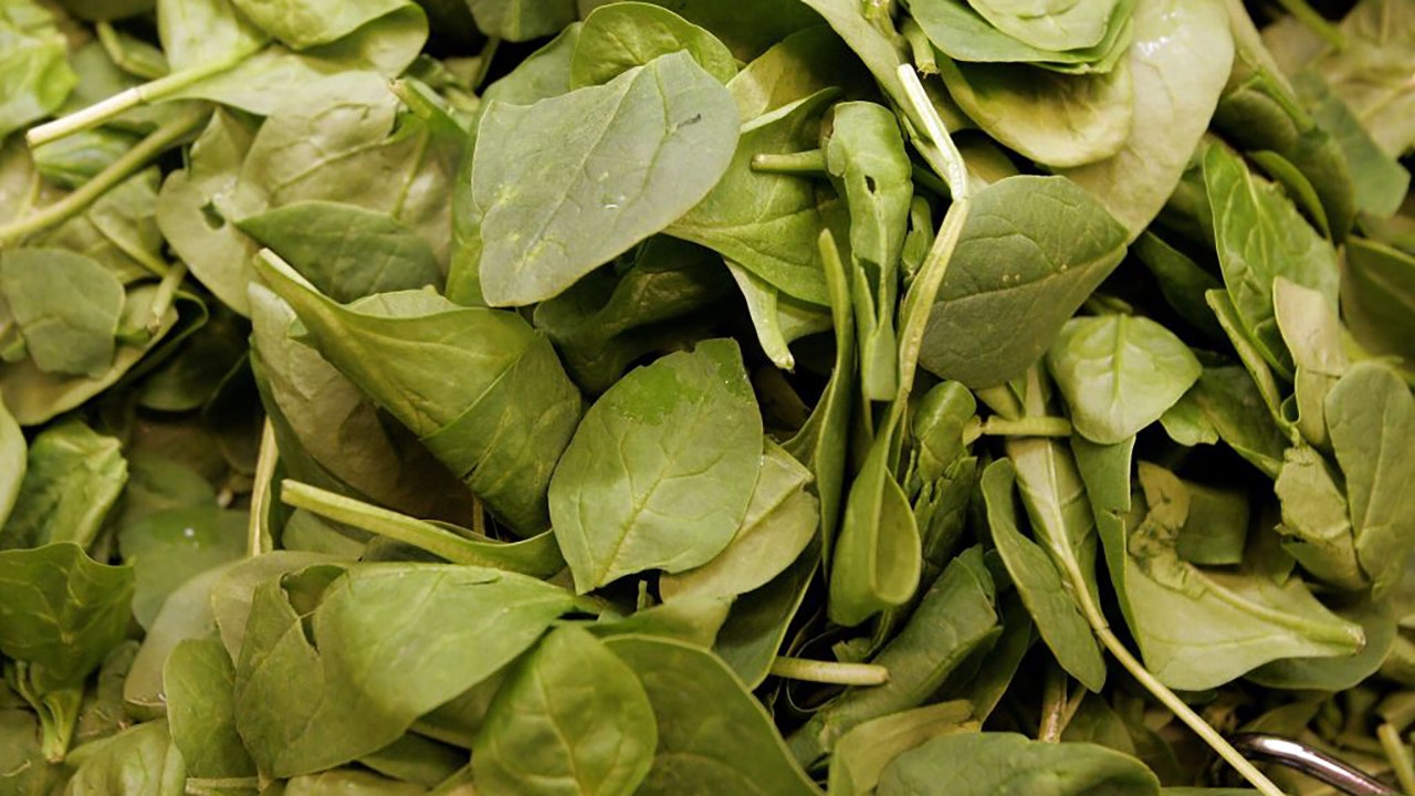 Possible listeria contamination prompts BrightFarms spinach, salad kit recall - Vimarsana News