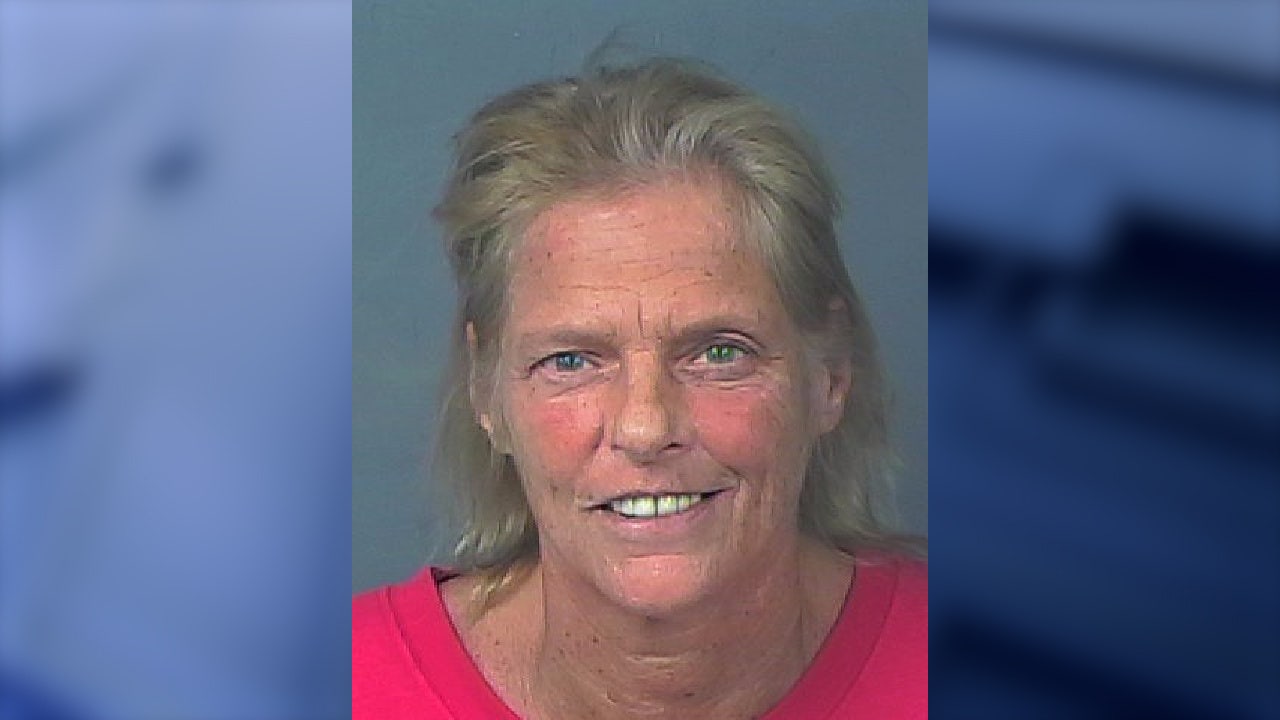 Property line dispute turns violent when Florida woman allegedly whacks neighbor with hammer, deputies say - Vimarsana News