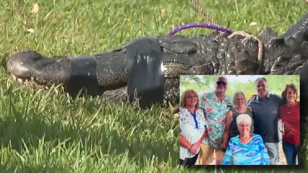 85-year-old Florida woman killed by alligator was 'forced' to walk dog near 'dangerous' pond, attorneys say