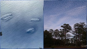 Incredible photos show unique 'hole-punch' clouds spread across Central Florida skyline