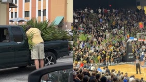 UCF seemingly adopts 'the most Florida' tradition involving... palm fronds?