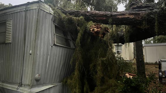 Florida storm damage: Videos, photos show tornado aftermath, downed trees amid severe storms