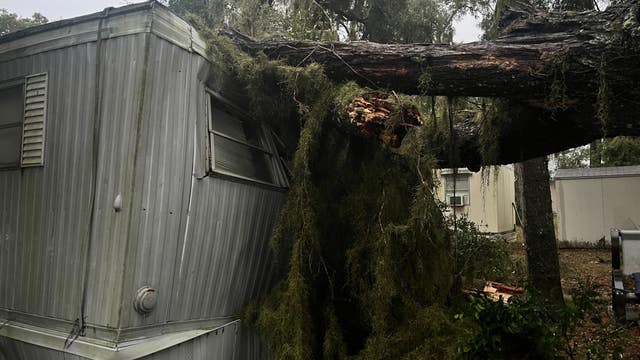 Florida storm damage: Videos, photos show tornado aftermath, downed trees amid severe storms