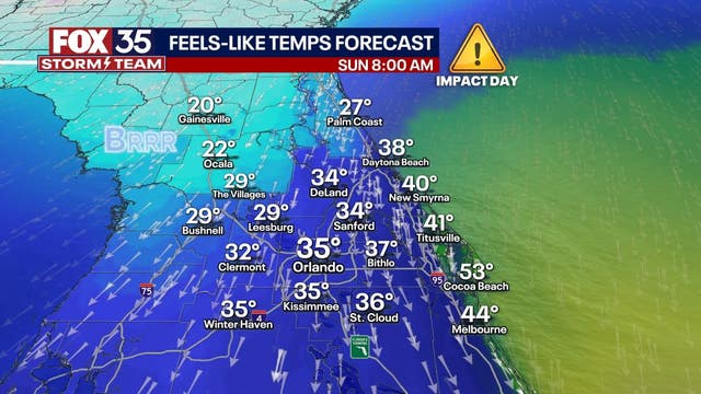 Cold snap to hit Central Florida: County by county guide