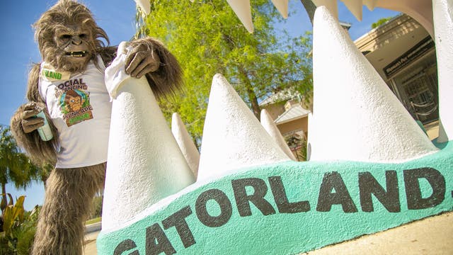 Is Gatorland open after Hurricane Milton hits Florida?