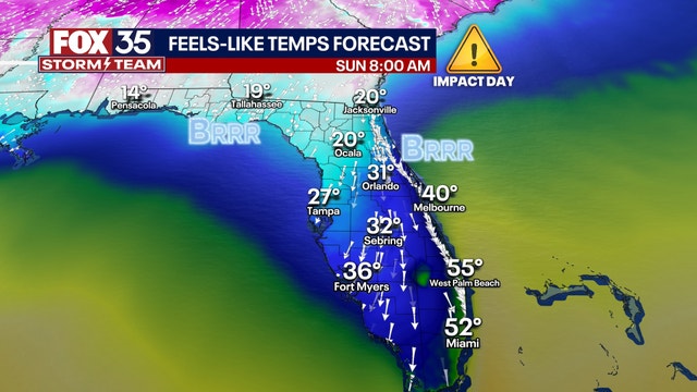Florida cold weather forecast: Frigid cold temperatures this weekend. Here's how cold it could get