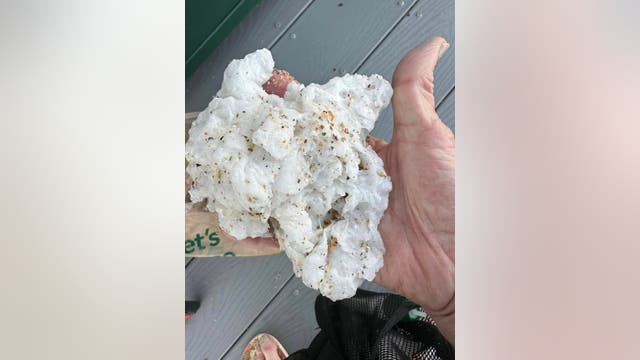 What is sea wax, and why is it washing up on our shores?