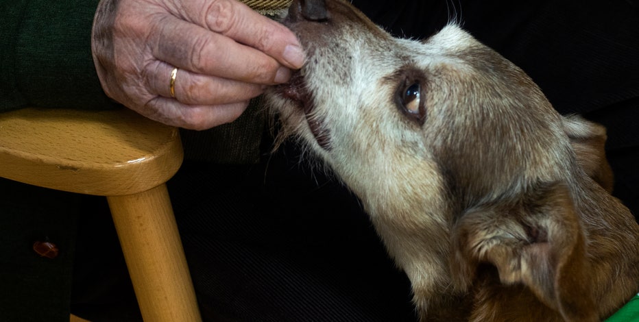 Florida county offering free pet adoption for older adults to encourage healthy habits, reduce depression