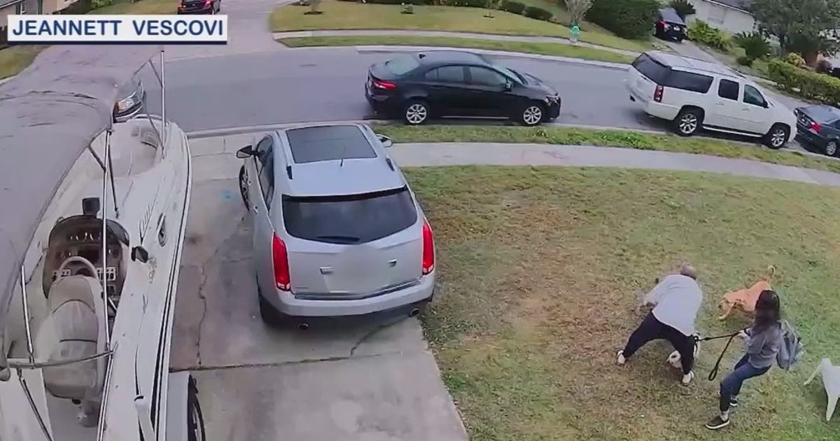 'Terrified!': Family, pet dog attacked by 2 other dogs | FOX 35 Orlando