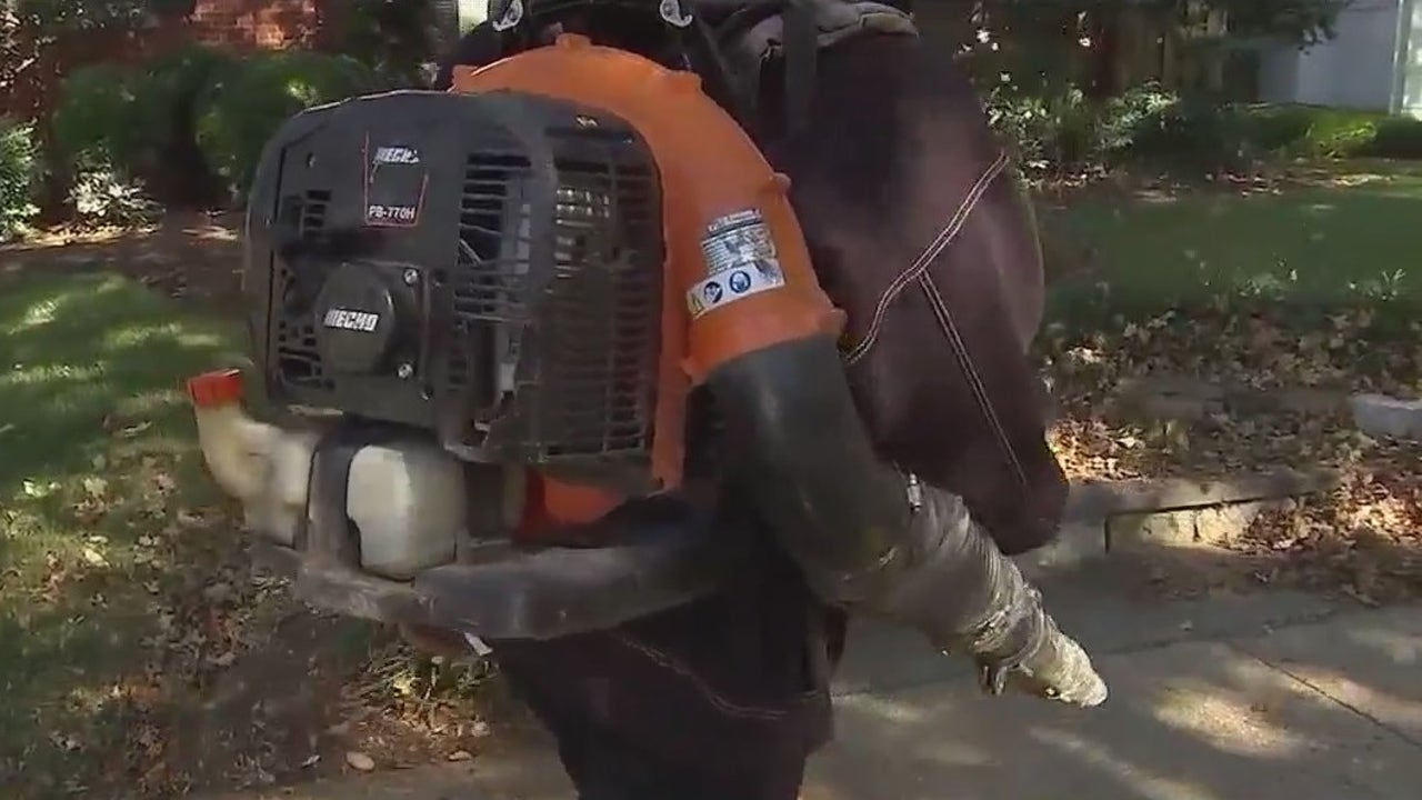 Winter Park delays penalties for gas-powered leaf blowers - Vimarsana News