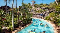 Disney World brings back seasonal water park pass