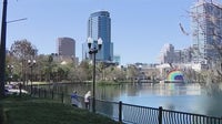 12 swans found dead at Lake Eola in Orlando, sparking bird flu concerns