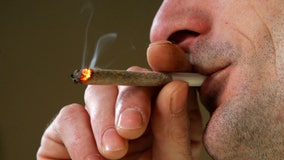 Could legalizing recreational pot bring more crime to Florida?