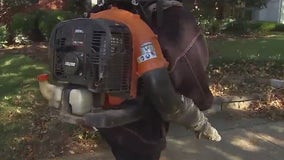 Winter Park delays penalties for gas-powered leaf blowers