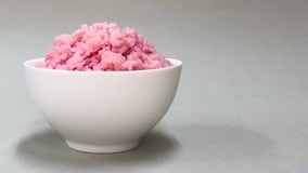 Meaty rice developed by growing animal cells inside grains