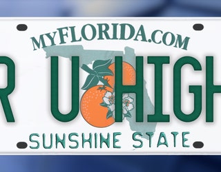 Rejected Florida license plates: These custom license plates were scrapped  in 2023