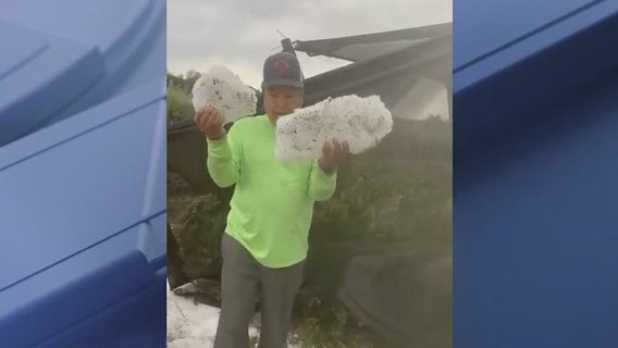 Florida hailstorm damages ferneries in Volusia County