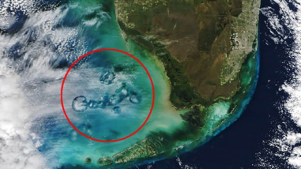 NASA satellite captures odd holes in clouds over Florida. What are they?