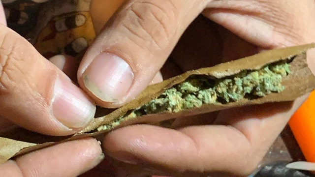 Florida's Amendment 3 will allow voters decide on legalization of recreational marijuana