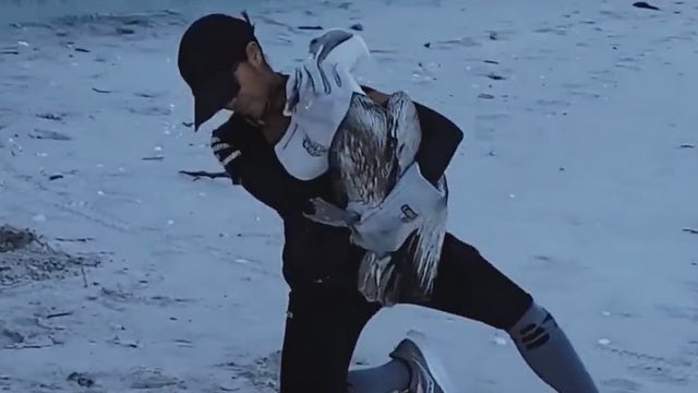 Rescuers overwhelmed with sick, injured wildlife concerns in Brevard County