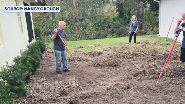 Feral hogs causing headaches for Flagler County residents