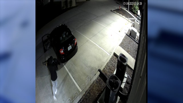 Florida man breaks into gun store with grinder and hammer, leaves with 13 guns in trash bag: DOJ