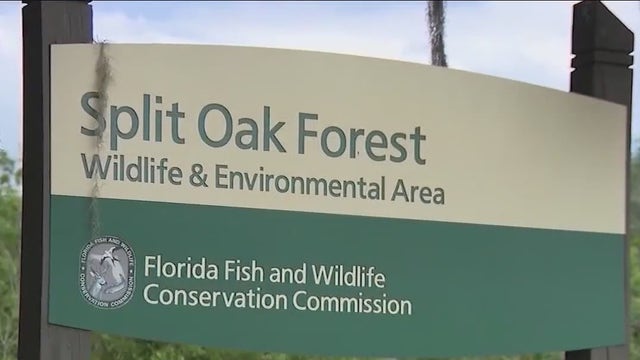 Protesters rally against Split Oak toll road as Orange County weighs project