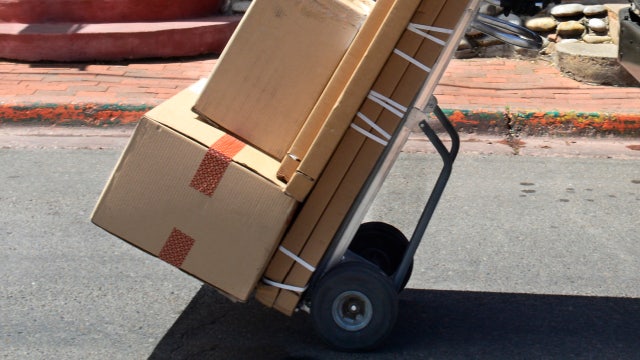 Orlando delivery driver files lawsuit after dog attacks him on the job