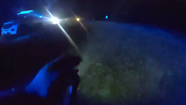 Bodycam: Volusia County deputy clipped by van while on scene of traffic crash