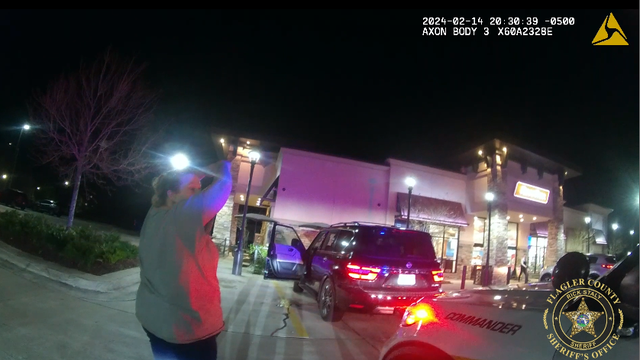 Wanted Florida woman found with stolen car in Palm Coast, claims it was a rental: Deputies