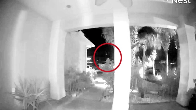 Meteor that lit up Florida night sky mistaken for boat in distress