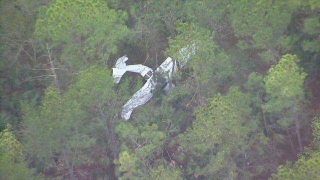 Plane crashes in Florida woods after losing power, deputies say